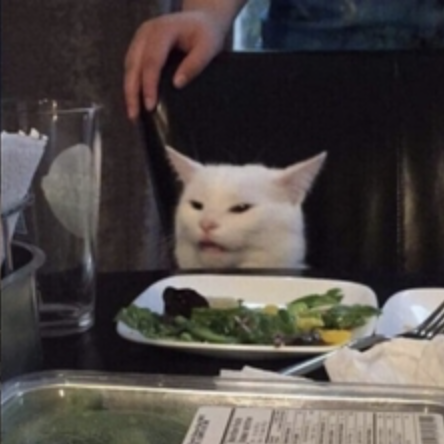 Immagine di un gatto che seduto al tavolo subisce un'accusa grave da una donna.